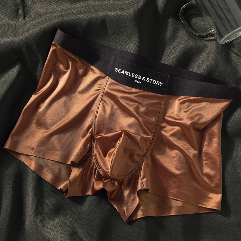 Gentleman's Silk Briefs