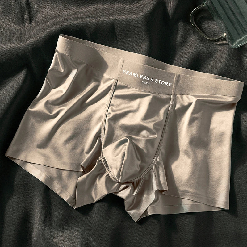 Gentleman's Silk Briefs