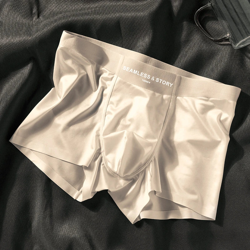 Gentleman's Silk Briefs