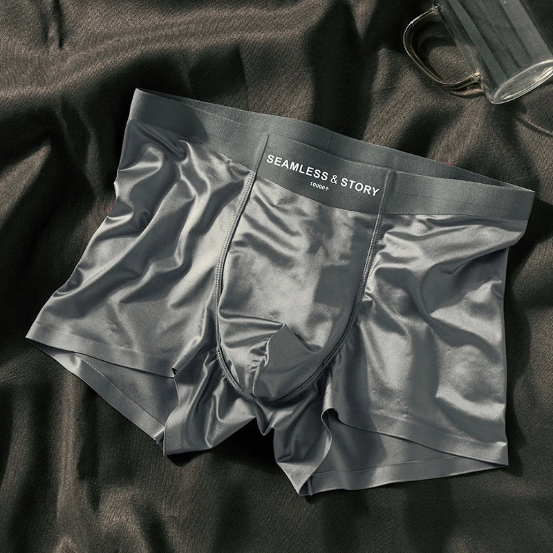 Gentleman's Silk Briefs