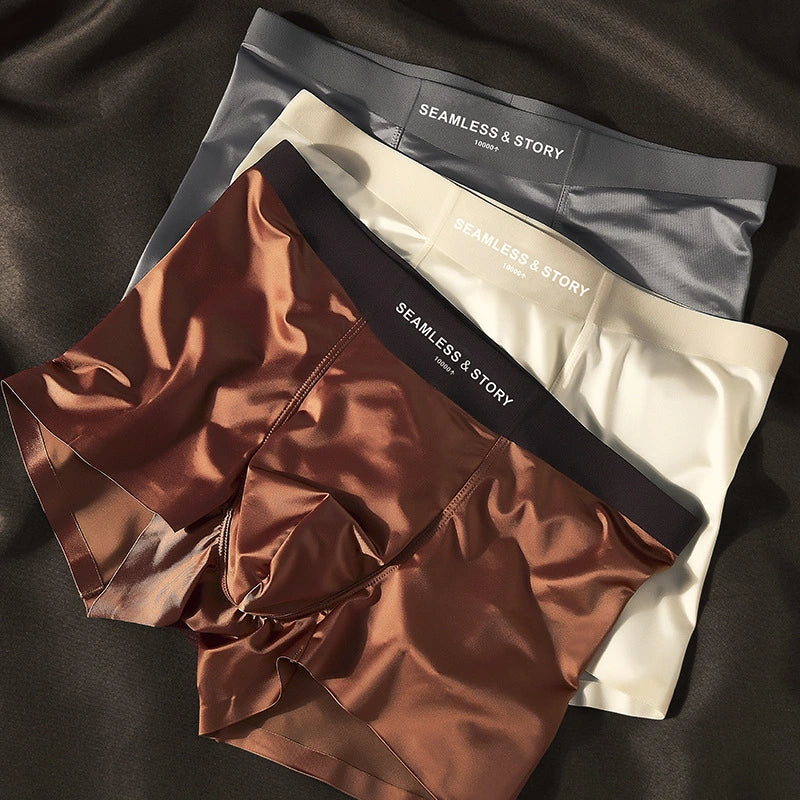 Gentleman's Silk Briefs