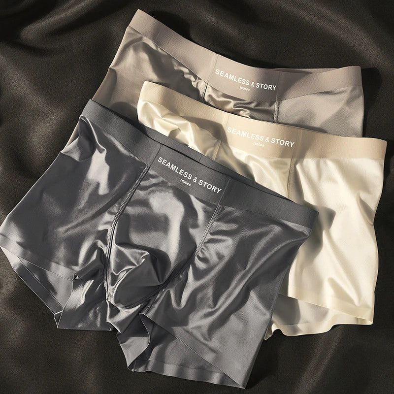 Gentleman's Silk Briefs